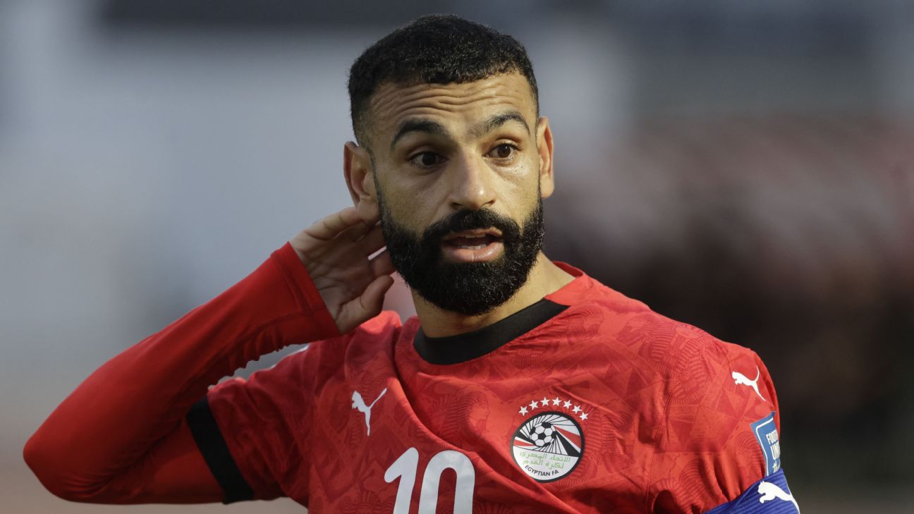 FIFA要求埃及删掉7颗星：世界杯球衣细节再调整